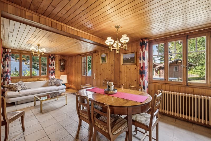 Spacieux chalet de 4 appartements avec vue spectaculaire et grand jard (4)
