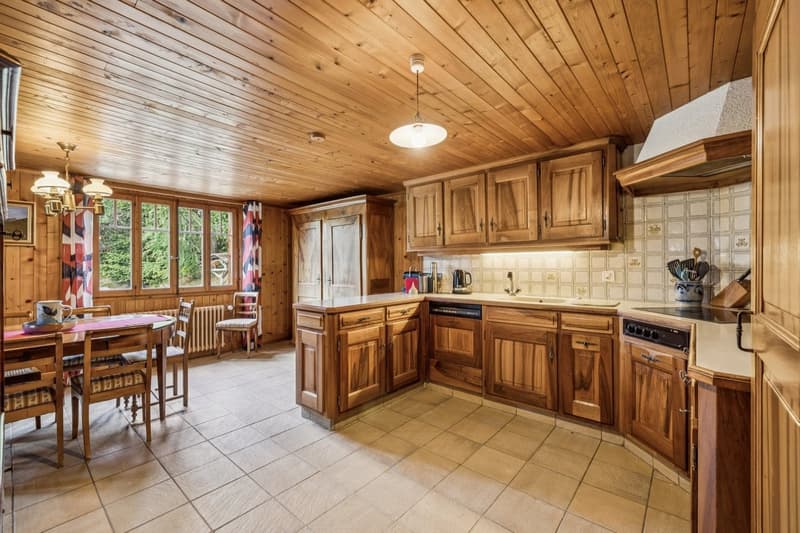 Spacieux chalet de 4 appartements avec vue spectaculaire et grand jard (6)