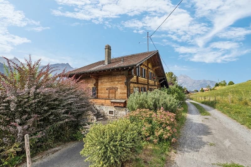 Spacieux chalet de 4 appartements avec vue spectaculaire et grand jard (2)