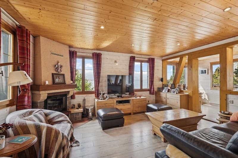 Chalet rénové sur les hauteurs de Gryon, studio indépendant, vue impre (3)