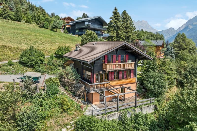 Chalet rénové sur les hauteurs de Gryon, studio indépendant, vue impre (2)