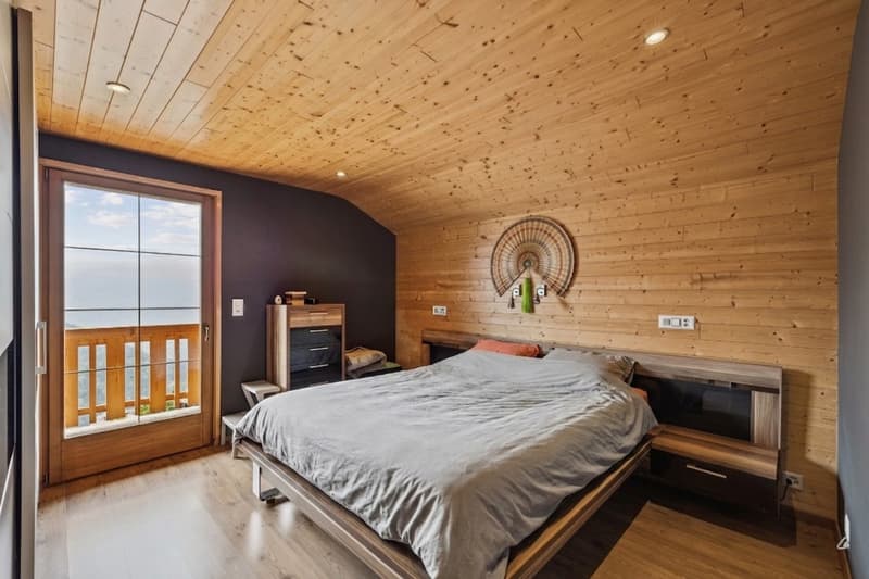 Chalet rénové sur les hauteurs de Gryon, studio indépendant, vue impre (6)