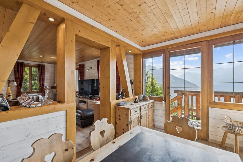 Chalet rénové sur les hauteurs de Gryon, studio indépendant, vue impre (4)