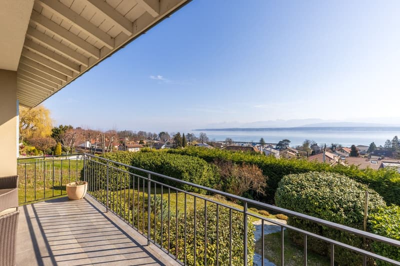 Villa avec vue sur le lac et les Alpes (7)