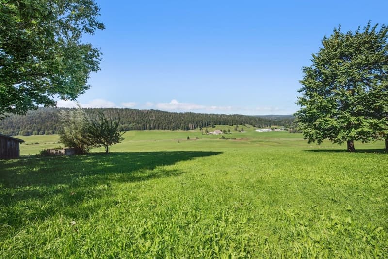 Ferme du XVIIe siècle rénovée au coeur de la Vallée de Joux (2)