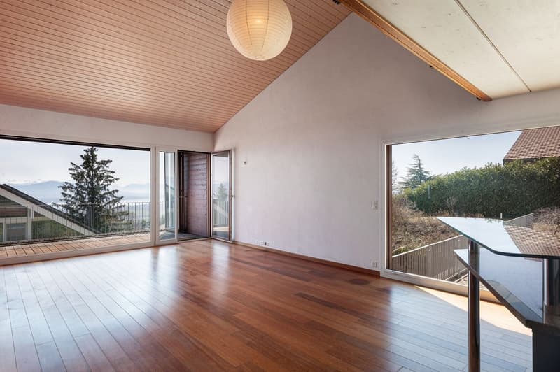 Belle maison d'architecte avec vue sur le bassin Lémanique (6)