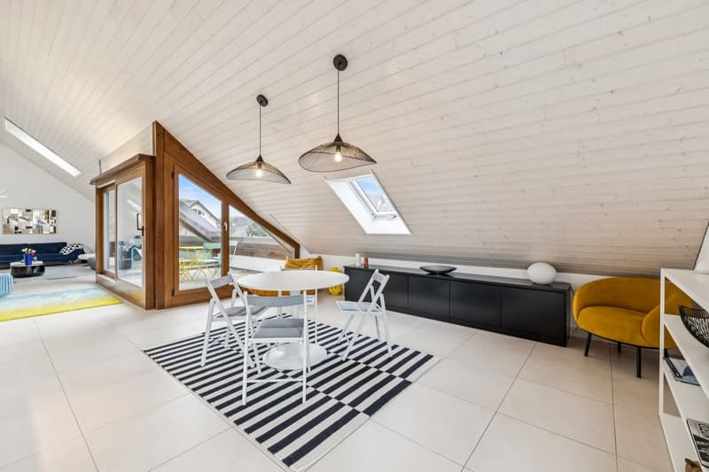 Spacieux duplex de plus de 200m2 utile (3)