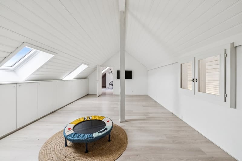 Spacieux duplex de plus de 200m2 utile (10)