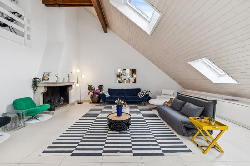 Spacieux duplex de plus de 200m2 utile (1)