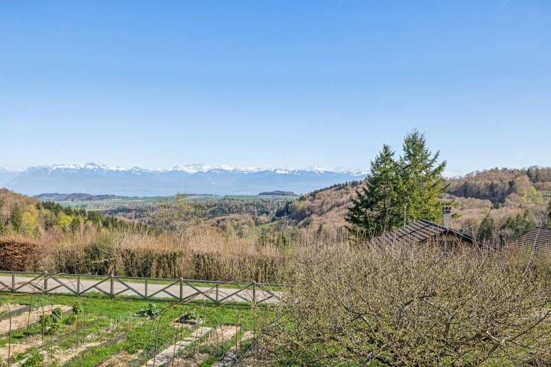 VUE ALPES ET LAC