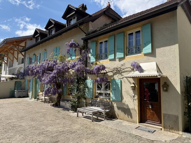 Cachet et volume pour cette maison historique (4)