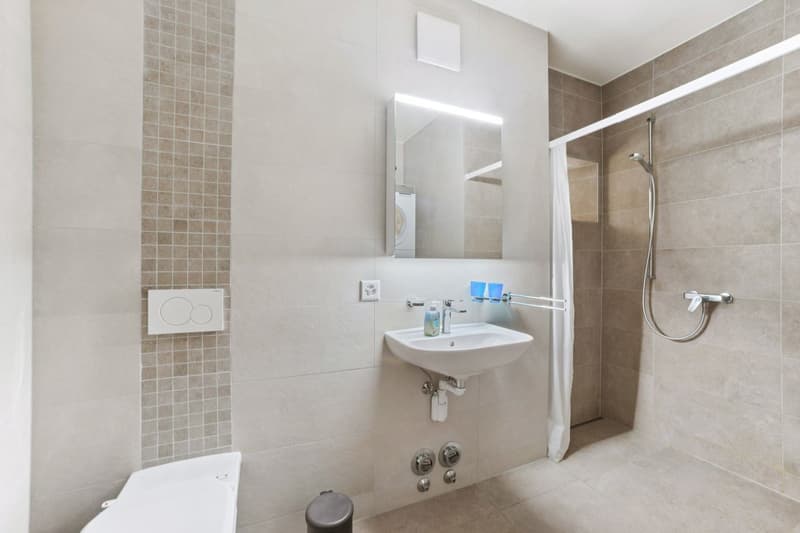 Appartement Duplex rénové (5)