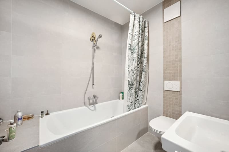 Appartement Duplex rénové (8)