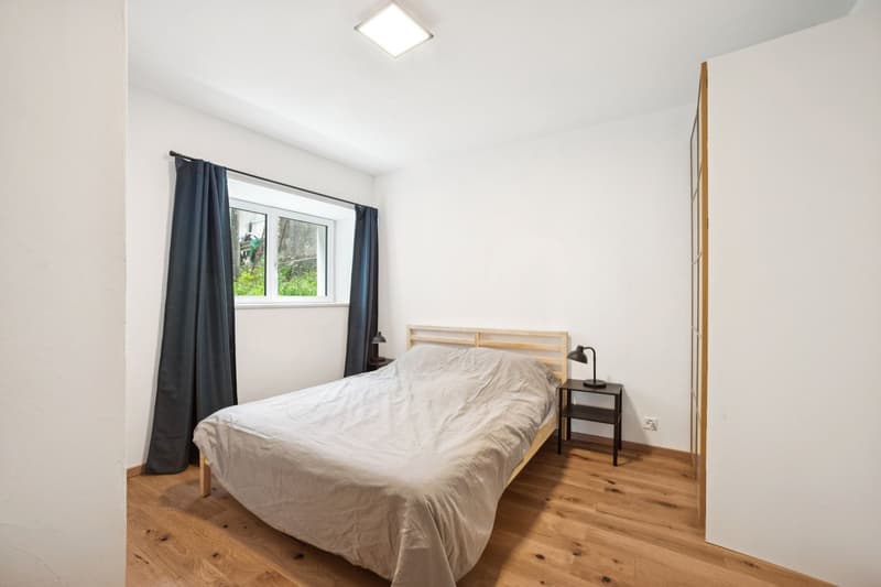 Appartement Duplex rénové (4)