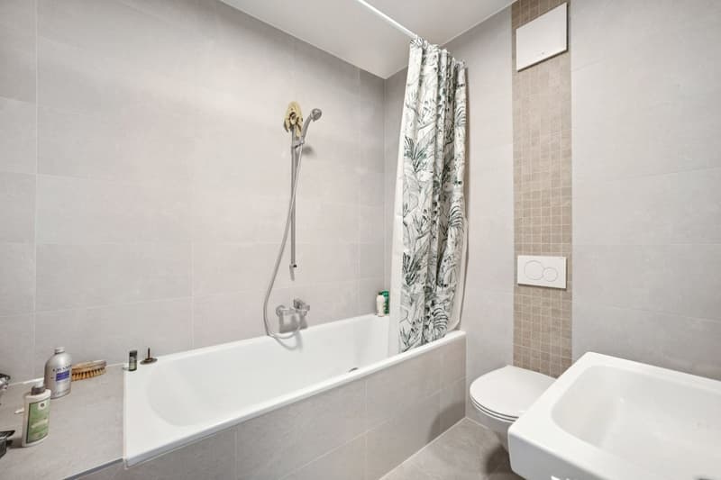 Appartement Duplex rénové (8)