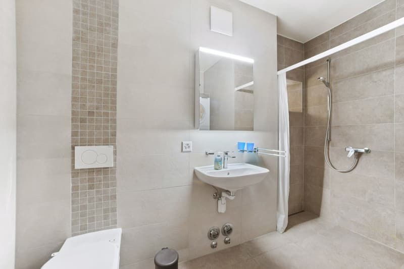 Appartement Duplex rénové (5)