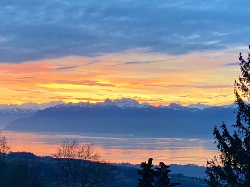vue sur les Alpes