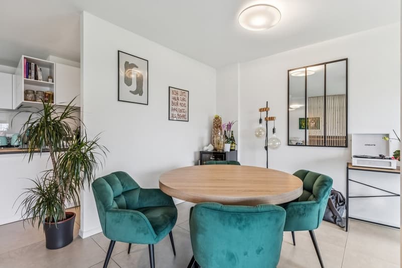 Joli duplex récent et spacieux (5)