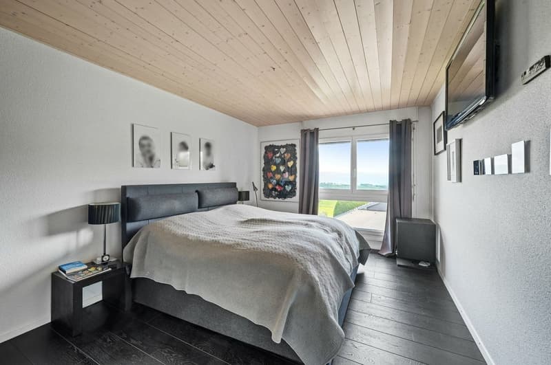 Villa vue sur le lac et les Alpes (11)