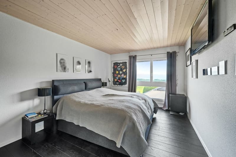 Villa contemporaine avec vue sur le lac et les Alpes (11)