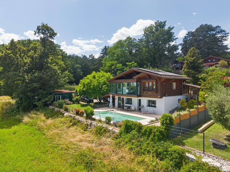 Splendide vue lac, chalet avec piscine (1)