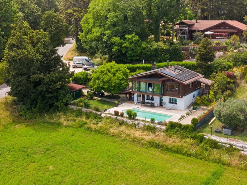 Splendide vue lac, chalet avec piscine (9)
