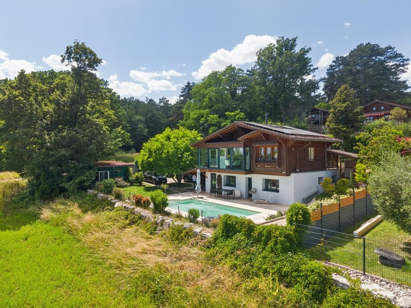 Splendide vue lac, chalet avec piscine (1)