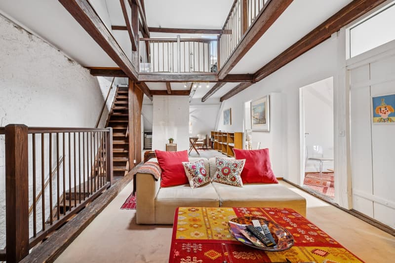 Rare et exceptionnelle maison historique (5)