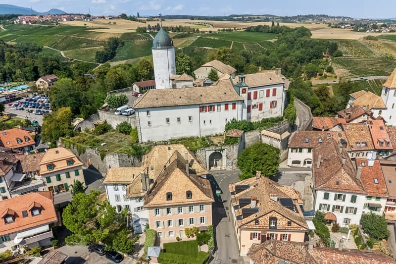 Rare et exceptionnelle maison historique (2)