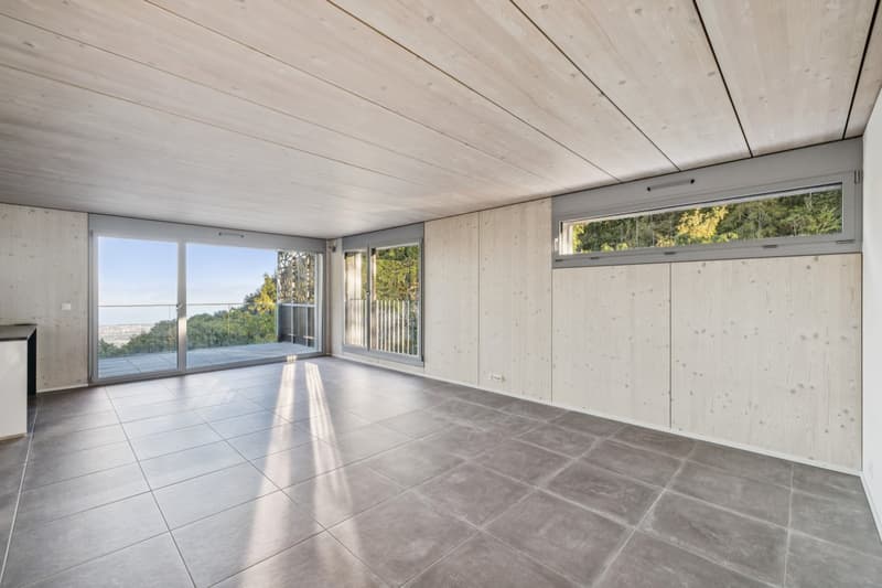 Opportunité - Qualité, tranquillité et vue sur le Léman et les Alpes (2)