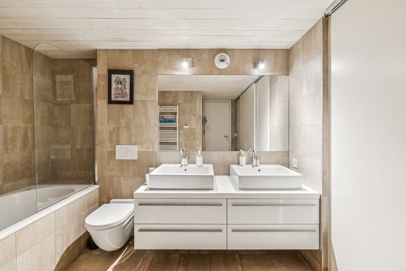Loft d'exception au Petit-Saconnex (4)