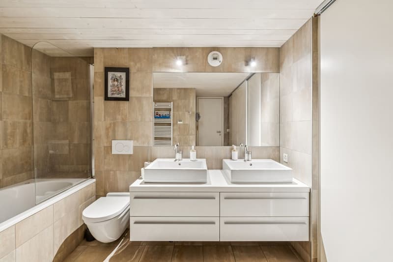 Loft d'exception au Petit-Saconnex (4)