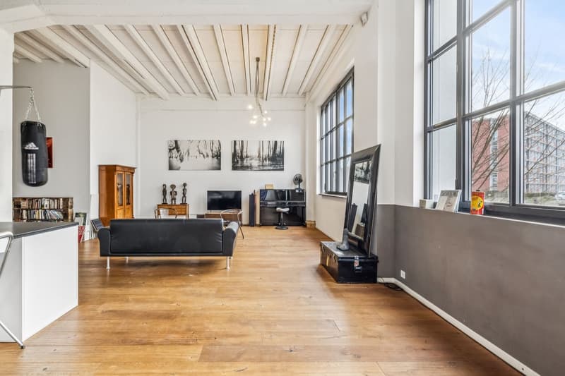 Loft d'exception au Petit-Saconnex (7)