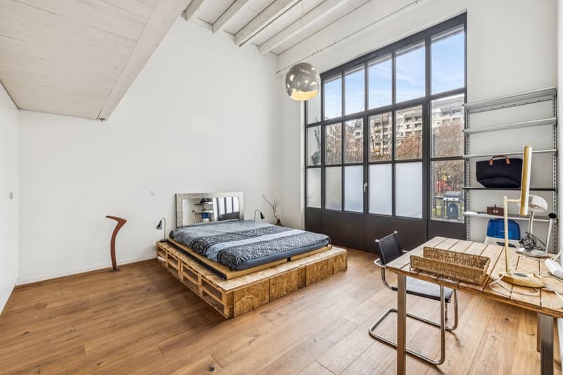 Loft d'exception au Petit-Saconnex (2)