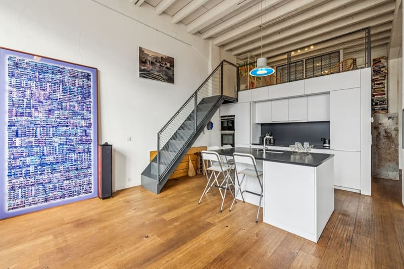 Loft d'exception au Petit-Saconnex (8)