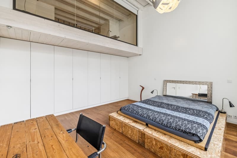 Loft d'exception au Petit-Saconnex (3)
