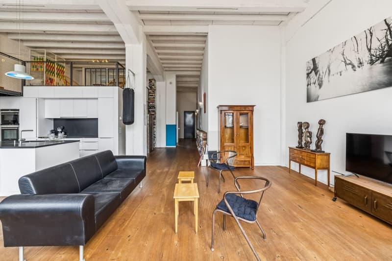 Loft d'exception au Petit-Saconnex (5)