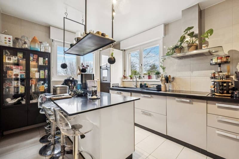 Élégante maison jumelée, cadre verdoyant à Corsier (8)