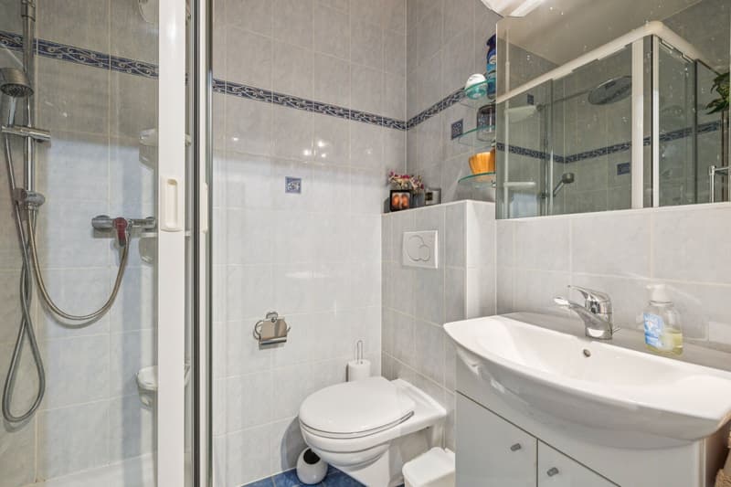 Florissant Appartement de 6P traversant (11)