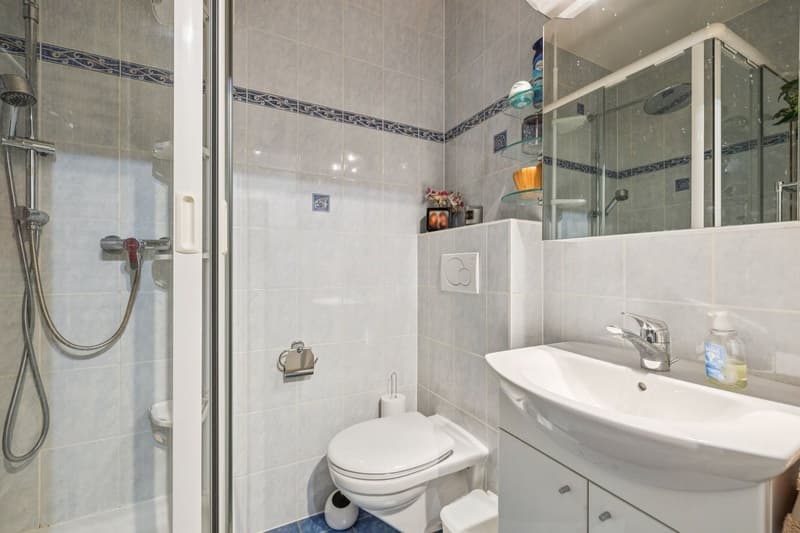 Florissant Appartement de 6P traversant (11)