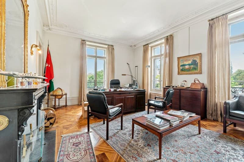 Hôtel particulier d'exception au coeur de la ville (5)