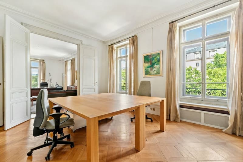 Hôtel particulier d'exception au coeur de la ville (10)