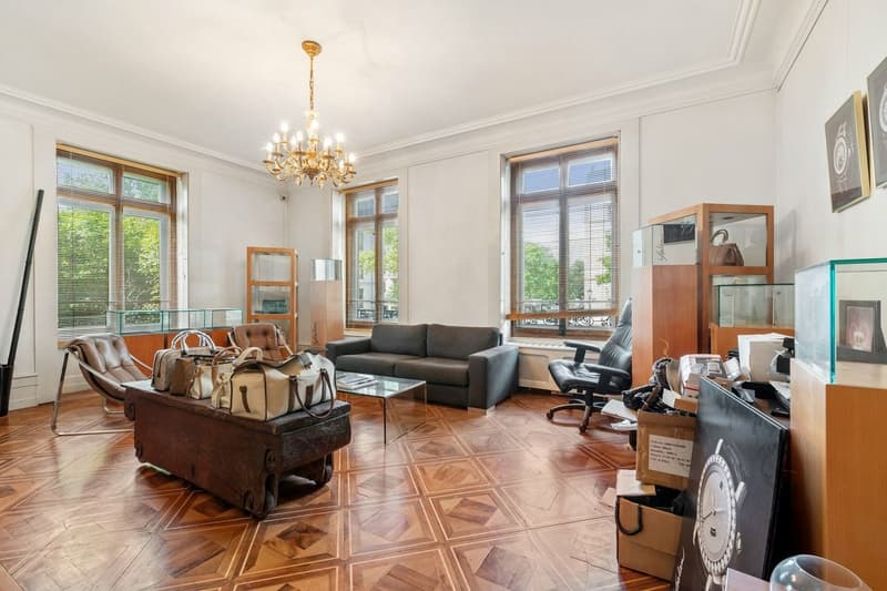 Hôtel particulier d'exception au coeur de la ville (9)