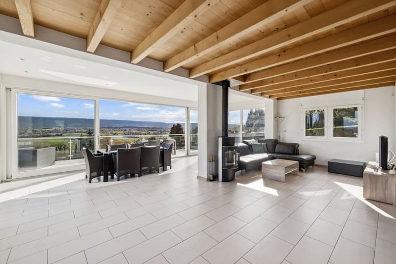 Villa individuelle de 9 pièces avec vue panoramique (4)