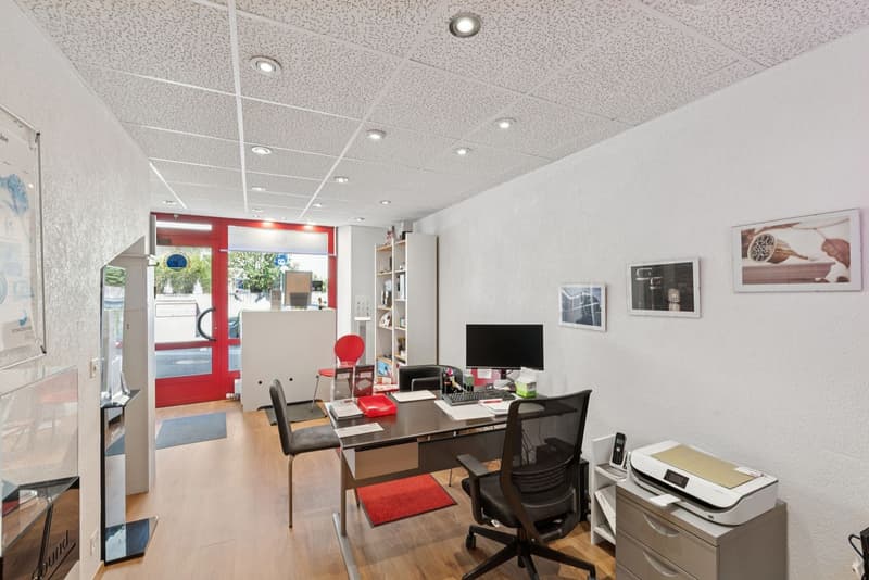 Exclusivité : Lot de deux arcades à Versoix (6)
