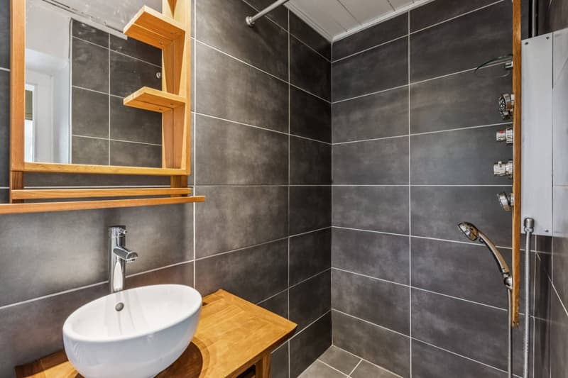 Une salle de douche avec WC et buanderie