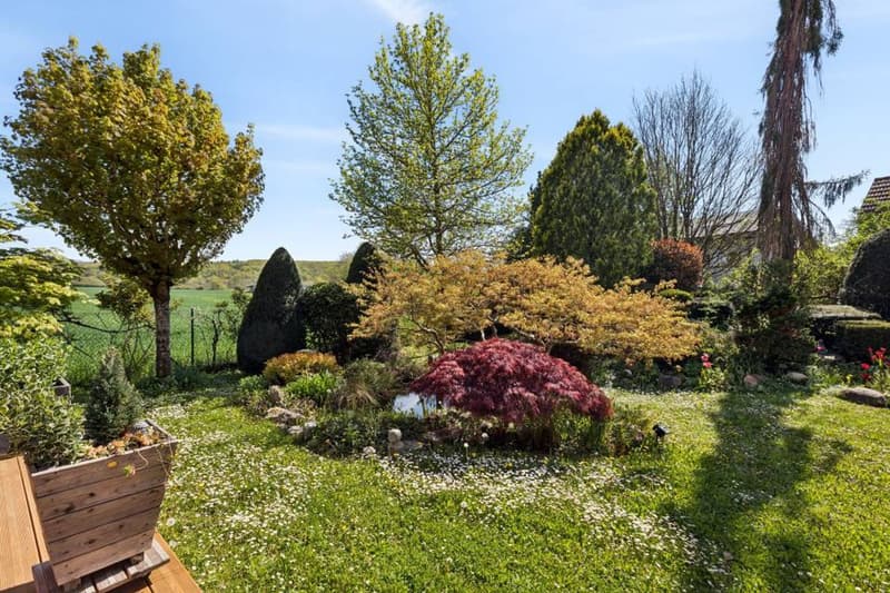 Maison d'architecte à Chancy en Exclusivité (7)