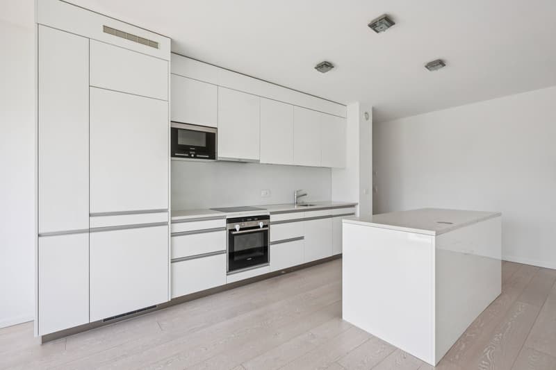 Grande cuisine moderne, entièrement équipée et avec îlot central