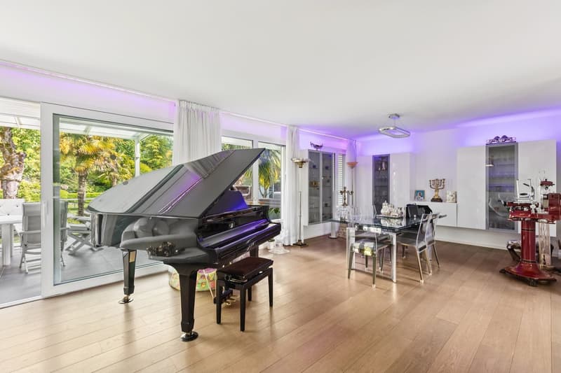 Villa contemporaine dans un cadre privilégié (3)