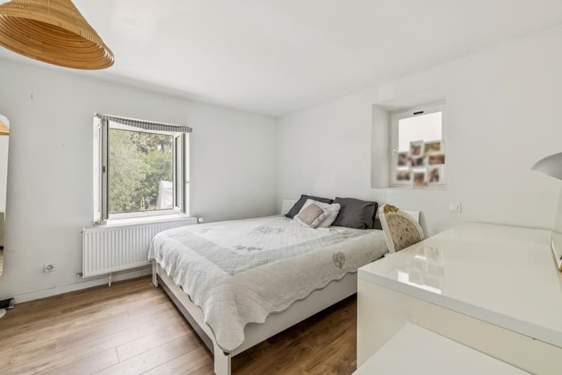 Maison individuelle avec jardin et appartement indépendant à Vernier (7)